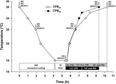 Functional recovery after accidental deep hypothermic cardiac arrest: Comparison of different cardiopulmonary bypass rewarming strategies